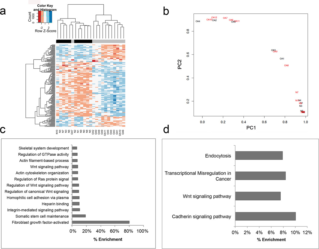 Increased DNA Methylation and Reduced Expression of Transcription Factors in Human Osteoarthritis Cartilage