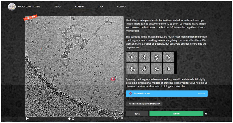 Exploring applications of crowdsourcing to cryo-EM