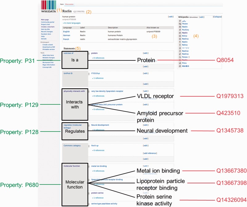 Wikidata as a semantic framework for the Gene Wiki initiative