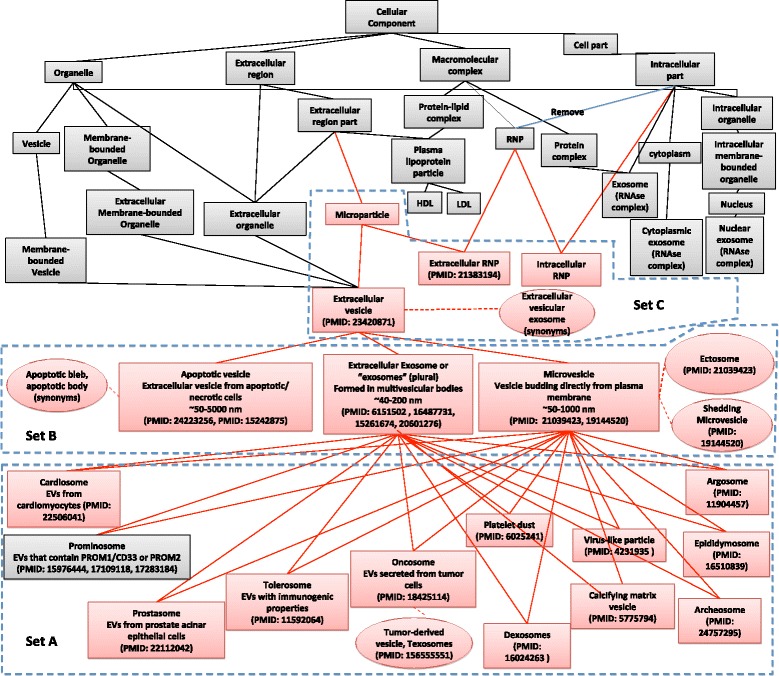 Extending gene ontology in the context of extracellular RNA and vesicle communication