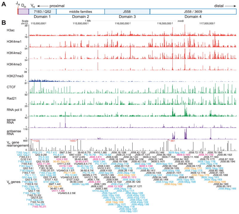 Deep Sequencing of the Murine <i>Igh</i> Repertoire Reveals Complex Regulation of Nonrandom V Gene Rearrangement Frequencies