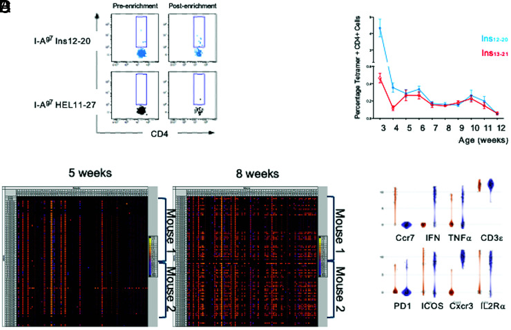 Repositioning the Early Pathology of Type 1 Diabetes to the Extraislet Vasculature