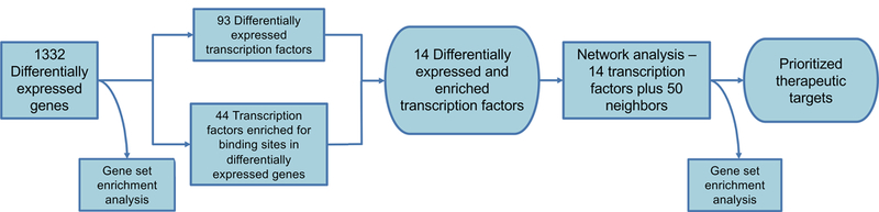 Identification of transcription factors responsible for dysregulated networks in human osteoarthritis cartilage by global gene expression analysis