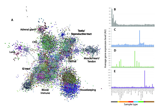 A gene expression atlas of the domestic pig