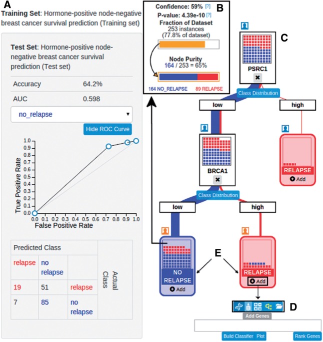 Branch: an interactive, web-based tool for testing hypotheses and developing predictive models