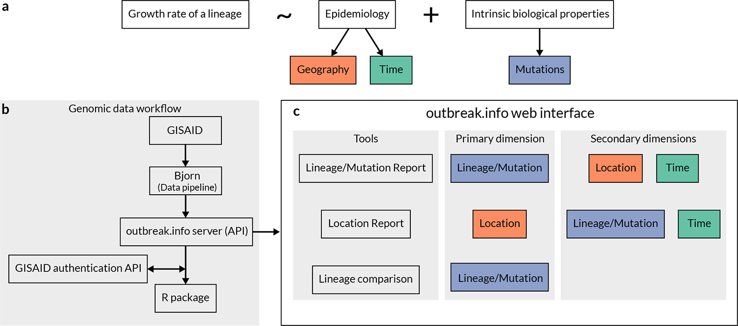 Outbreak.info genomic reports: scalable and dynamic surveillance of SARS-CoV-2 variants and mutations