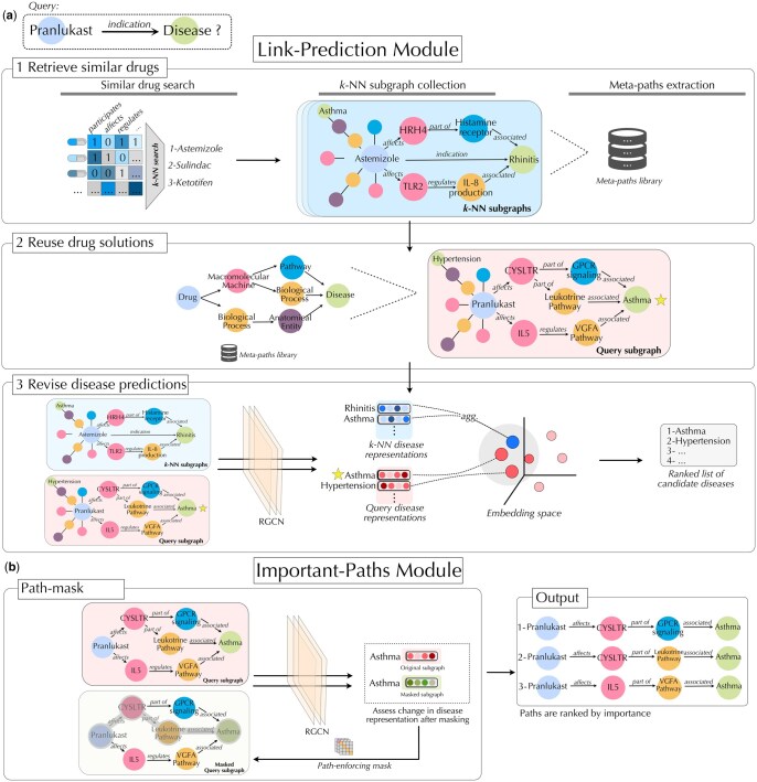 A Case-Based Explainable Graph Neural Network Framework for Mechanistic Drug Repositioning