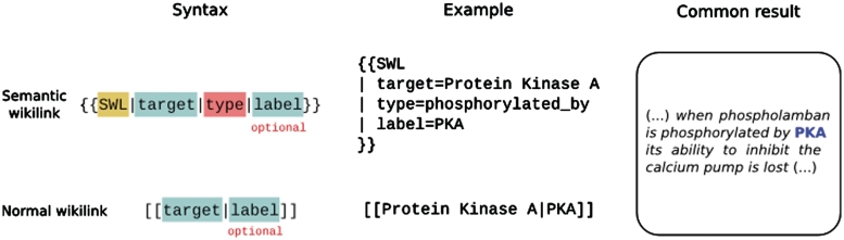 Building a biomedical semantic network in Wikipedia with Semantic Wiki Links