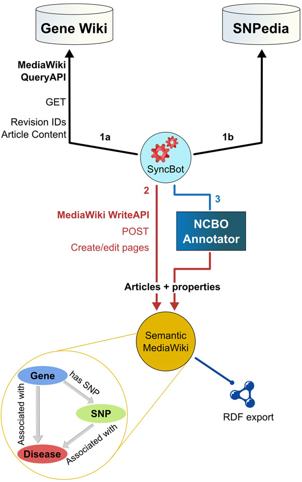 Linking genes to diseases with a SNPedia-Gene Wiki mashup