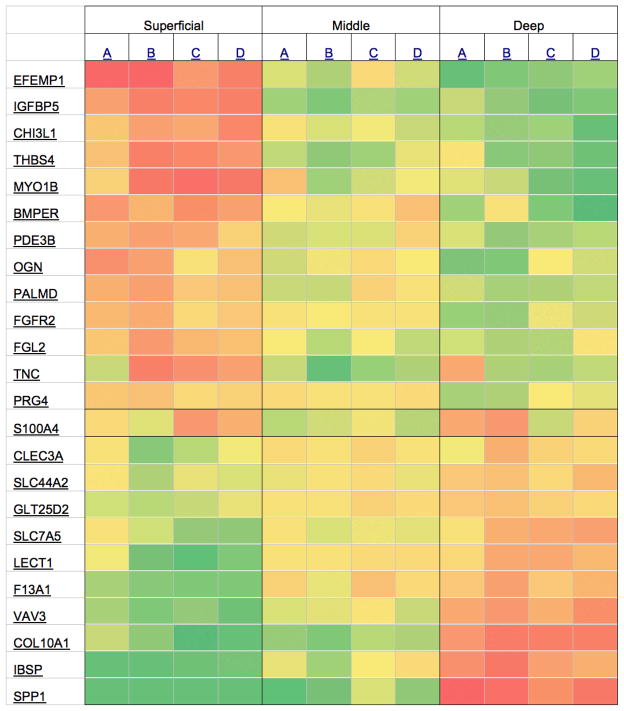 Zone‐specific gene expression patterns in articular cartilage