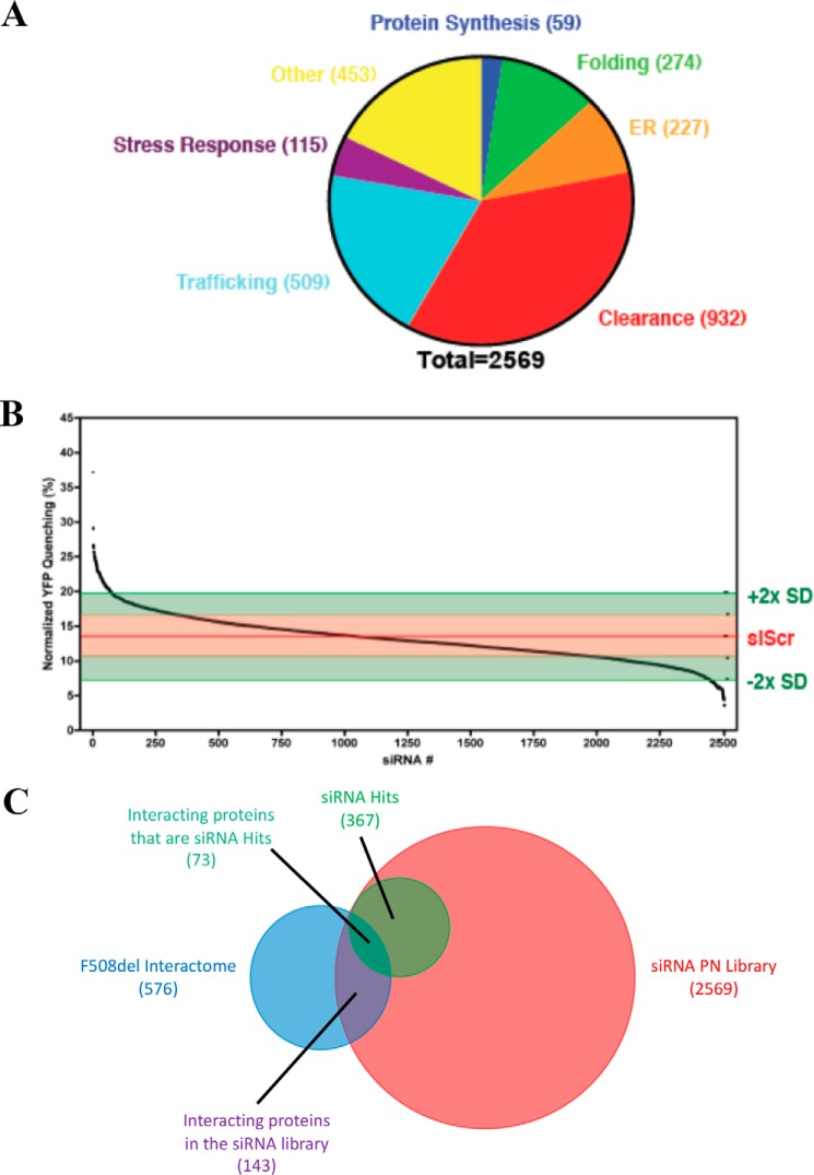 Correcting the F508del-CFTR variant by modulating eukaryotic translation initiation factor 3–mediated translation initiation