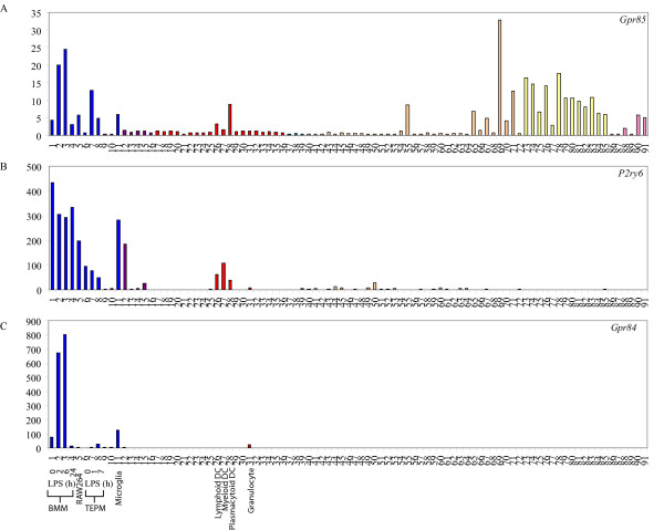 Expression analysis of G Protein-Coupled Receptors in mouse macrophages