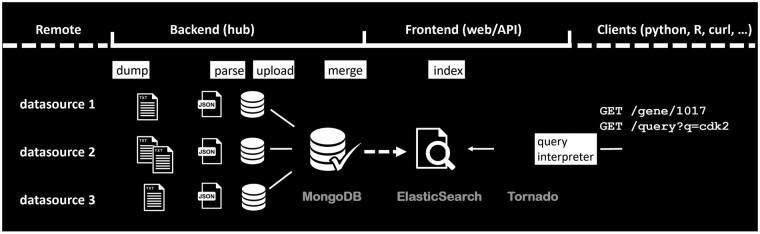 BioThings SDK: a toolkit for building high-performance data APIs in biomedical research