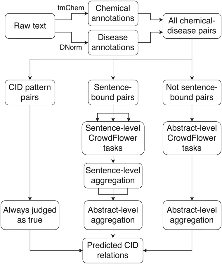 A crowdsourcing workflow for extracting chemical-induced disease relations from free text