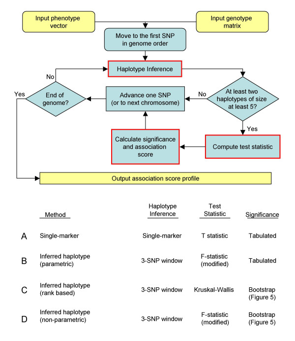 Comparative analysis of haplotype association mapping algorithms