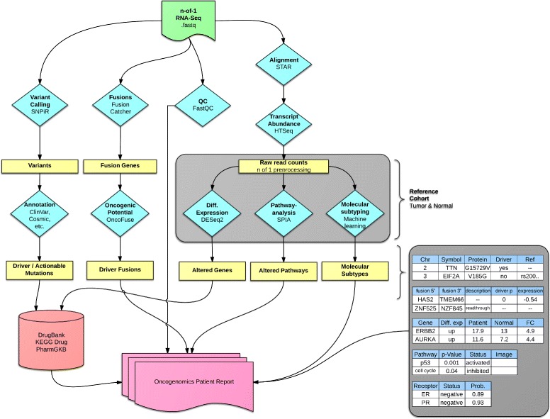 OncoRep: an n-of-1 reporting tool to support genome-guided treatment for breast cancer patients using RNA-sequencing