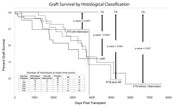 Gene Expression in Biopsies of Acute Rejection and Interstitial Fibrosis/Tubular Atrophy Reveals Highly Shared Mechanisms That Correlate With Worse Long‐Term Outcomes