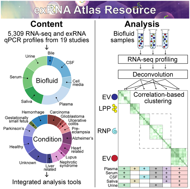 exRNA Atlas Analysis Reveals Distinct Extracellular RNA Cargo Types and Their Carriers Present across Human Biofluids
