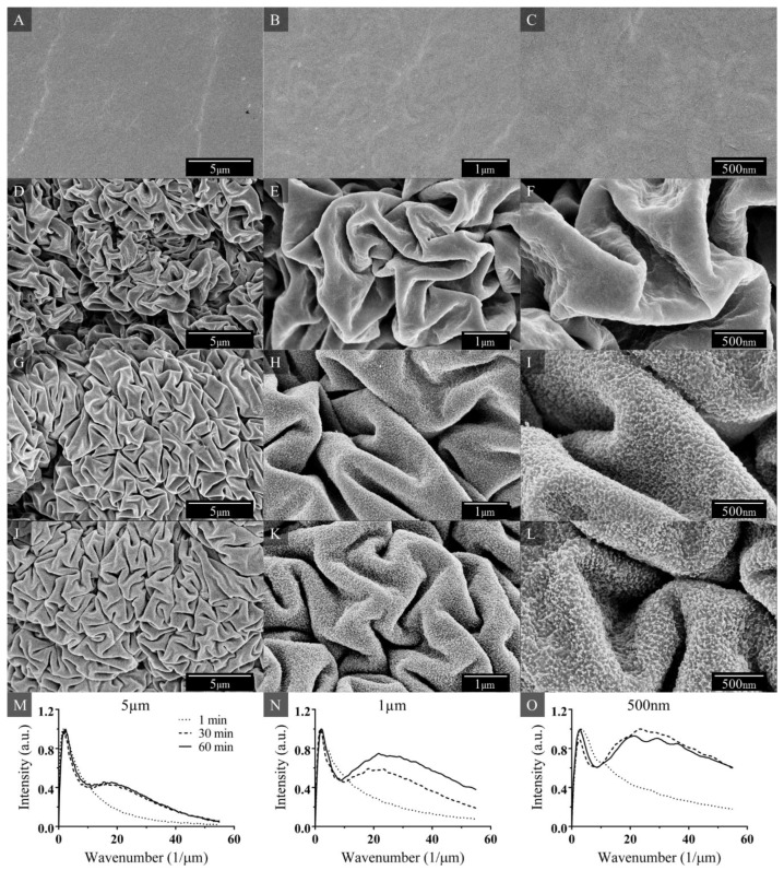 Nanotextured Shrink Wrap Superhydrophobic Surfaces by Argon Plasma Etching