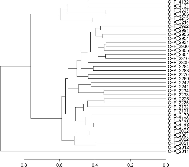 Functional expression of dental plaque microbiota