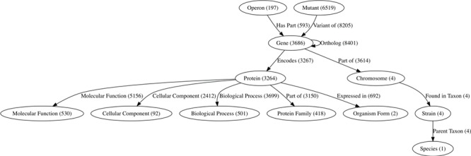 ChlamBase: a curated model organism database for the Chlamydia research community