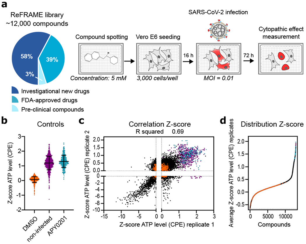 Discovery of SARS-CoV-2 antiviral drugs through large-scale compound repurposing