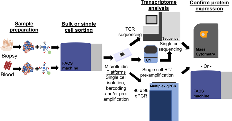 Using single cell analysis for translational studies in immune mediated diseases: Opportunities and challenges
