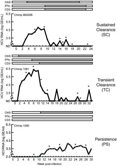 Genomic analysis of the host response to hepatitis C virus infection