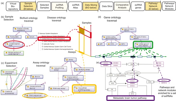 Integration of extracellular RNA profiling data using metadata, biomedical ontologies and Linked Data technologies