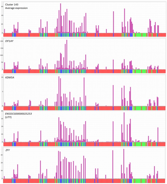 Functional Annotation of the Transcriptome of the Pig, Sus scrofa, Based Upon Network Analysis of an RNAseq Transcriptional Atlas