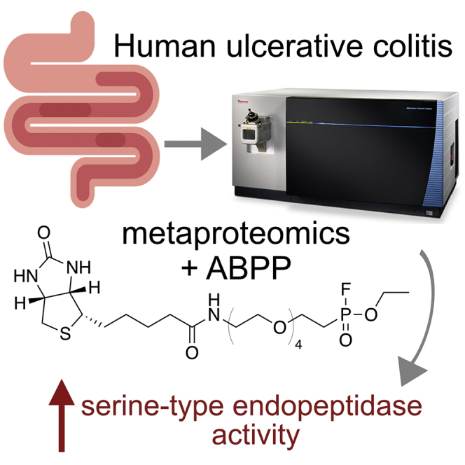 Quantitative Metaproteomics and Activity-based Protein Profiling of Patient Fecal Microbiome Identifies Host and Microbial Serine-type Endopeptidase Activity Associated With Ulcerative Colitis