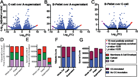 Triflic acid treatment enables LC-MS/MS analysis of insoluble bacterial biomass