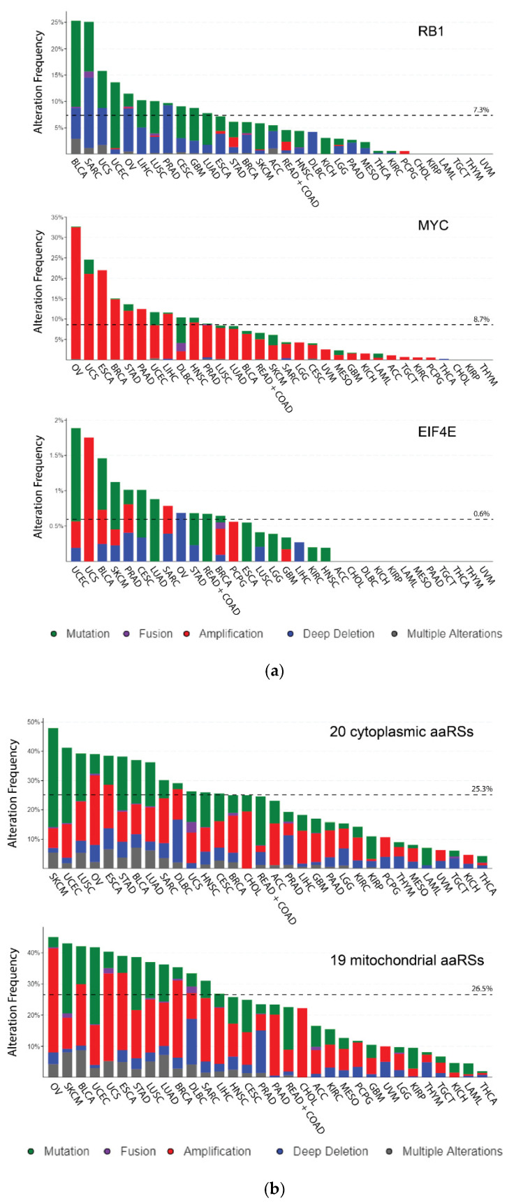 Multi-Omics Database Analysis of Aminoacyl-tRNA Synthetases in Cancer