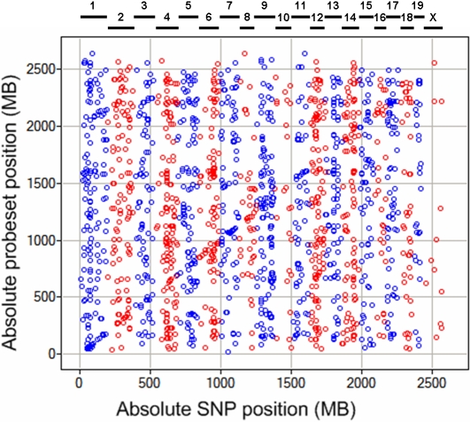 Gene Set Enrichment in eQTL Data Identifies Novel Annotations and Pathway Regulators