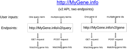 MyGene.info: gene annotation query as a service