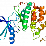 http://en.wikipedia.org/wiki/File:Protein_CDK2_PDB_1aq1.png