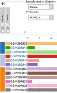 CDK2 (cyclin-dependent kinase 2) - Gene Report - BioGPS-3